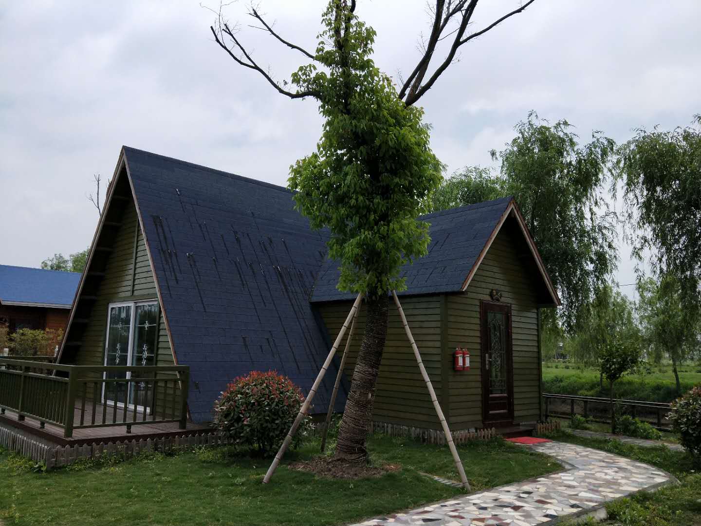 15295605845006956.jpg 15295605845006956.jpg